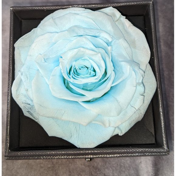 Other - Blue Preserved Rose Jewelry Box